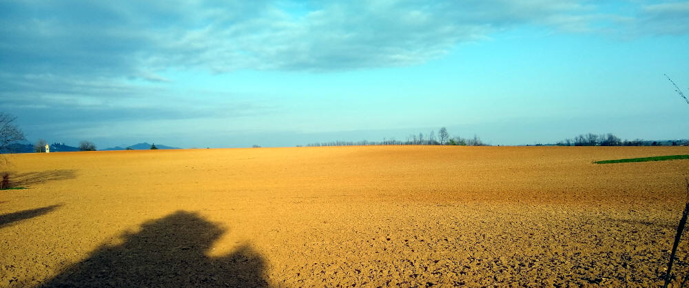 Campo pronto per la semina