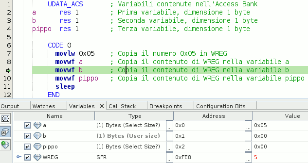 Variabili a, b e pippo
