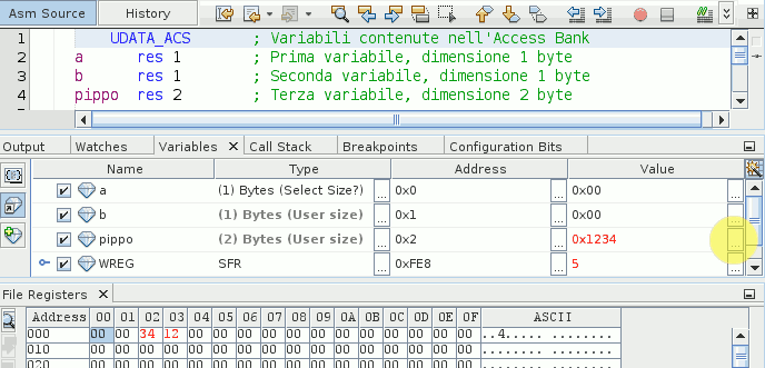 Variabili di più byte