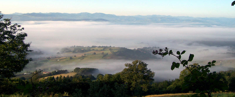 Il Camino Pimitivo