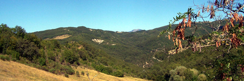 Da La Verna a Gubbio