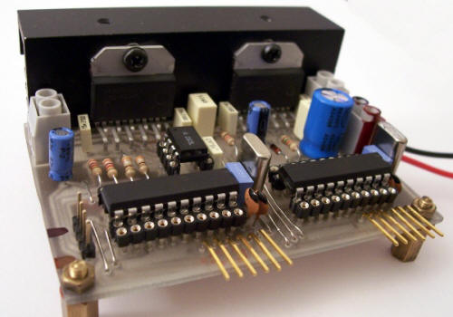 Una coppia di microprocessori PIC per controllare due motori in continua