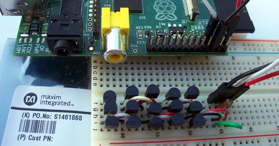 15 sensori di temperatura 1-Wire collegati a Raspberry Pi